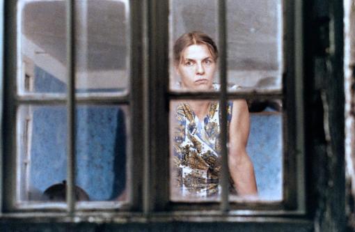 die Nacht des Marders Plakat